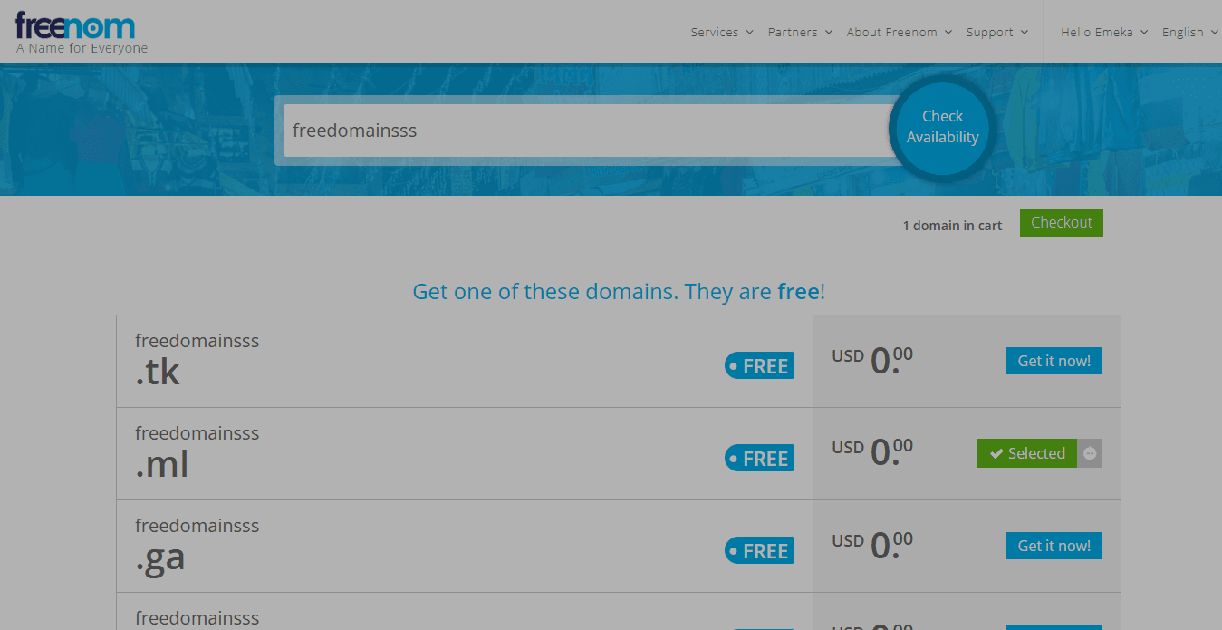 How To Get a Free Domain (Freenom)